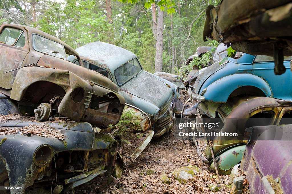 Cars at junkyard in nature setting, Sweden, Europe