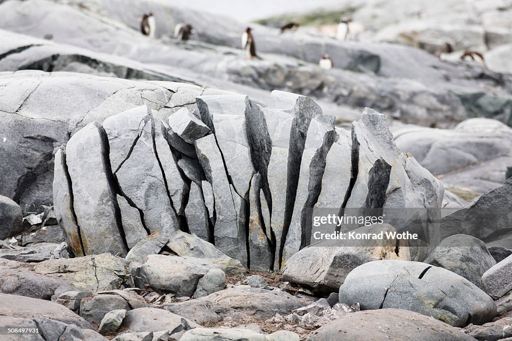 Rocks broken by frost on Petermann Island off the Antarctic Peninsula, Antarctica