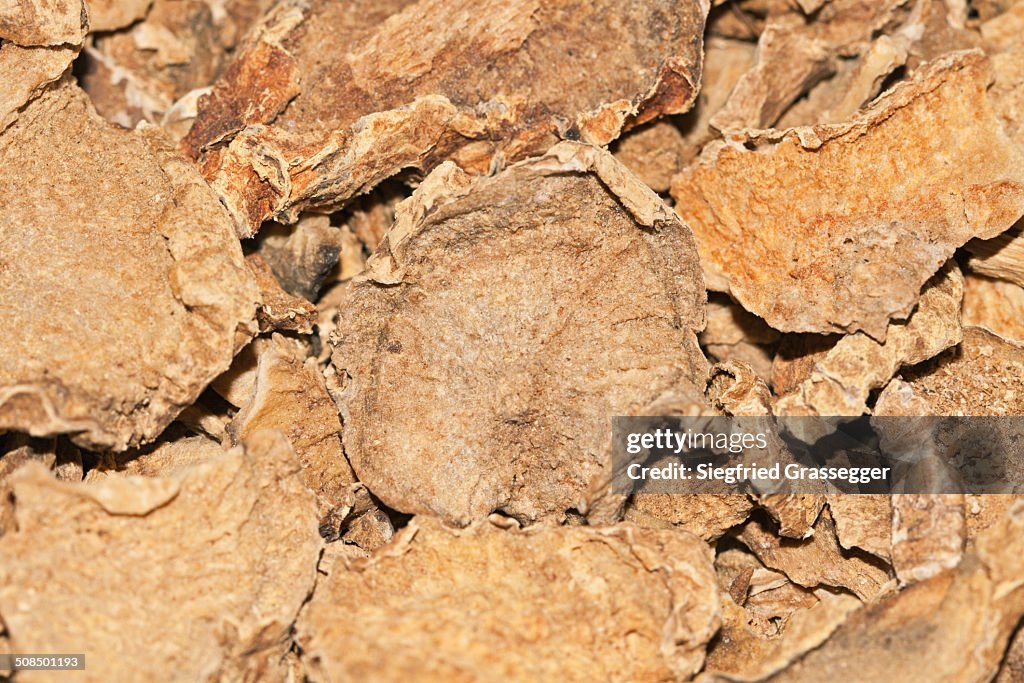 Devil's Claw -Harpagophytum procumbens-, medicinal plant, cancer therapy, osteoarthritis therapy, root, dried, medicine, African