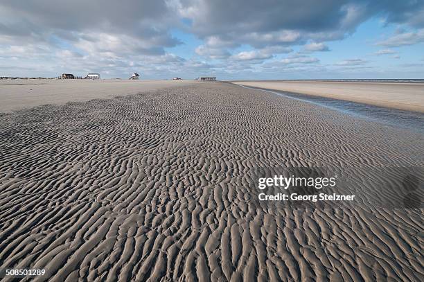 beach of sankt peter-ording in the morning sun during low tide with stilt houses on the horizon at back, north sea beach, schleswig-holstein, germany, europe - low tide stock pictures, royalty-free photos & images