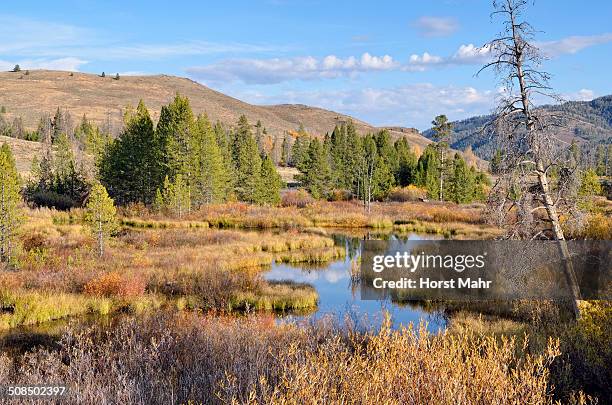 big wood river, boulder mountains at back, highway 75, ketchum, idaho, usa - ketchum idaho stock pictures, royalty-free photos & images