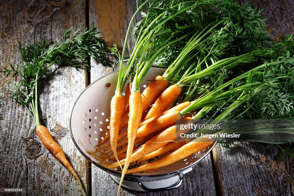 Fresh carrots, carrots in a colander on rustic wood