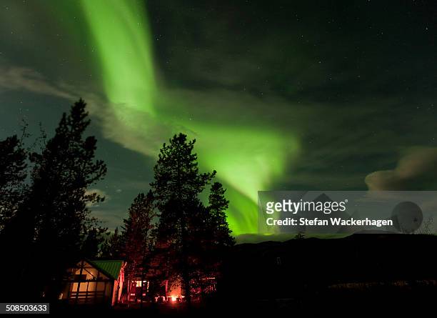 illuminated, lit wall tent, cabin with swirling northern polar lights, aurora borealis, green, near whitehorse, yukon territory, canada - whitehorse stock pictures, royalty-free photos & images