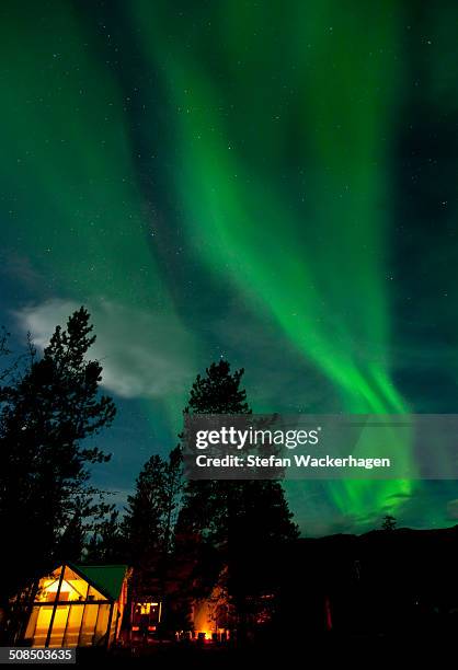 illuminated, lit wall tent, cabin with swirling northern polar lights, aurora borealis, green, near whitehorse, yukon territory, canada - whitehorse bildbanksfoton och bilder