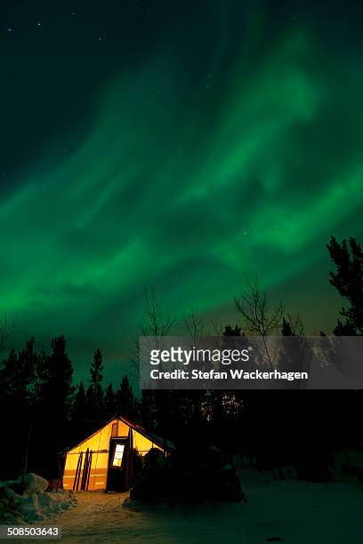 illuminated, lit wall tent, cabin with swirling northern polar lights, aurora borealis, green, near whitehorse, yukon territory, canada - whitehorse stock pictures, royalty-free photos & images
