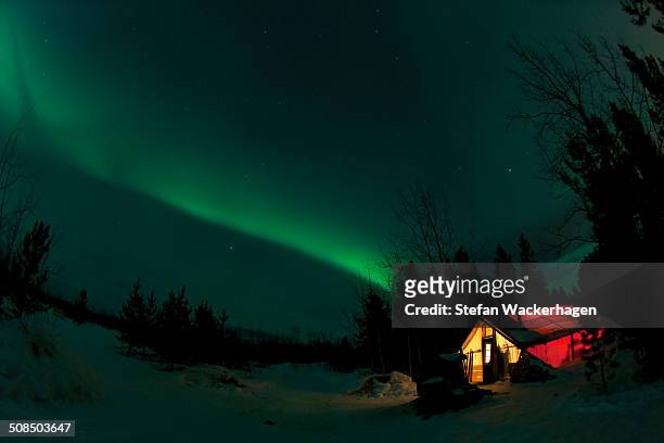 illuminated, lit wall tent, cabin with swirling northern polar lights, aurora borealis, green, near whitehorse, yukon territory, canada - whitehorse bildbanksfoton och bilder