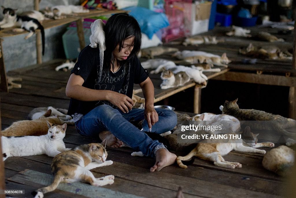 MYANMAR-LIFESTYLE-ANIMALS