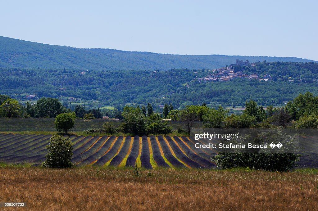 Provencal landscape