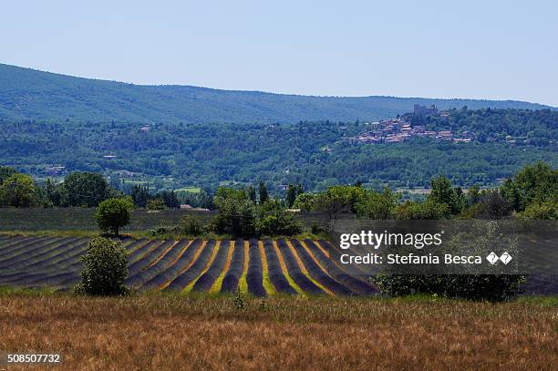 Provencal Ragot Provencal Herbs Photos and Premium High Res Pictures - Getty Images