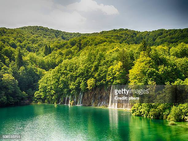 transparent river in plitvice, croatia - plitvicka jezera croatia stock pictures, royalty-free photos & images