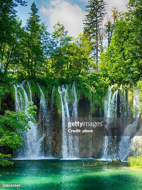 transparente river im nationalpark plitvicer, kroatien - nationalpark plitvicer seen stock-fotos und bilder