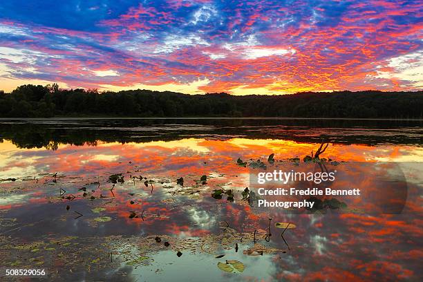 reflections - michigan v illinois stock-fotos und bilder