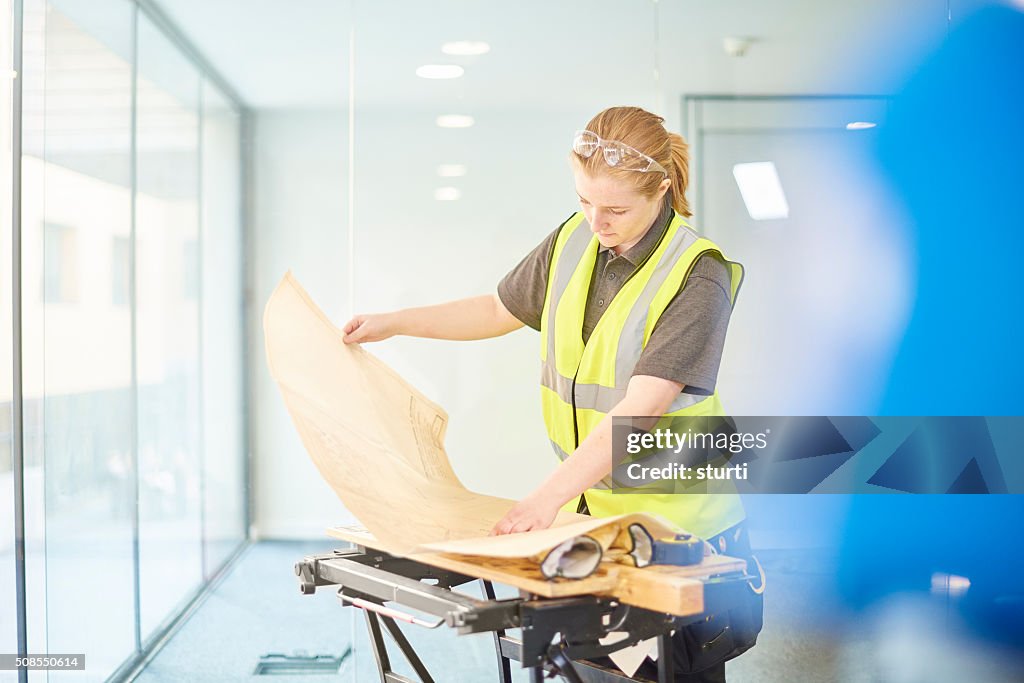 Fêmea carpinteiro verificar os projectos