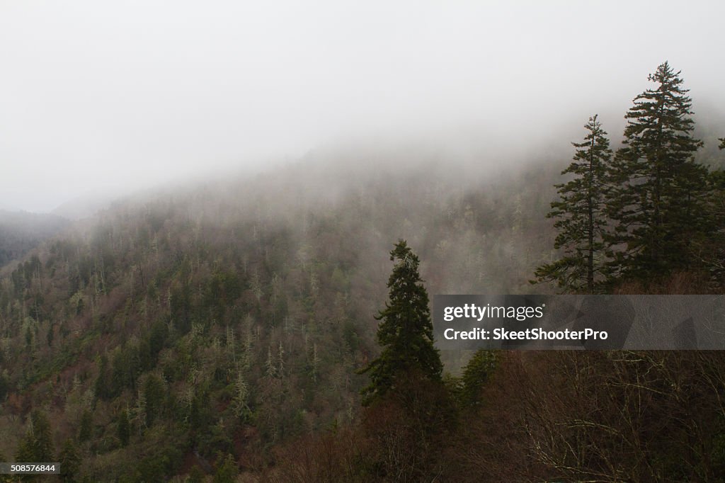 Fog Over The Mountain