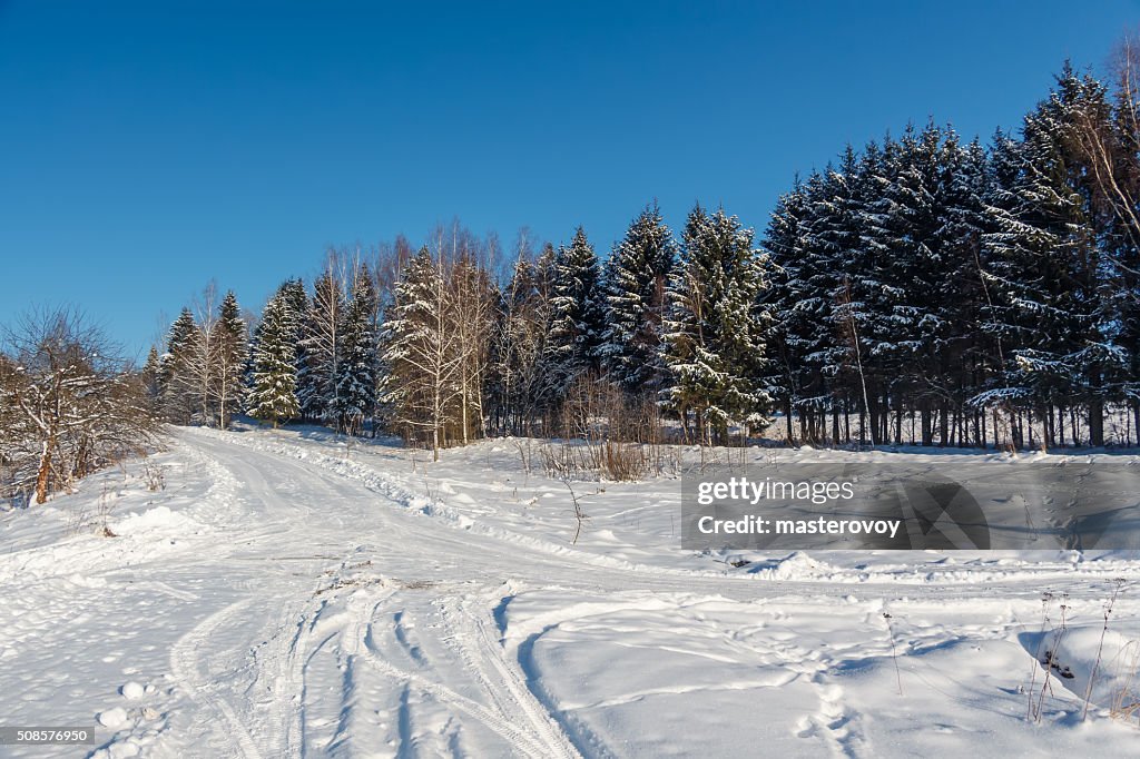 Winter country road