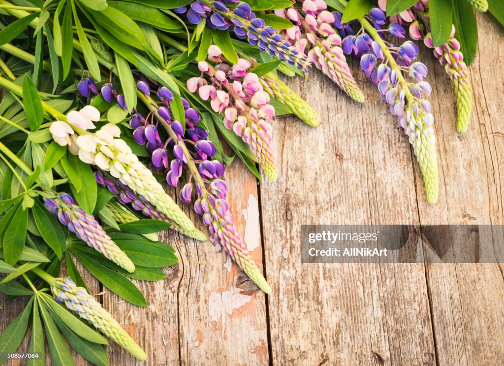 Wildblumen. Lupine Blumen auf alte schäbig Holztisch