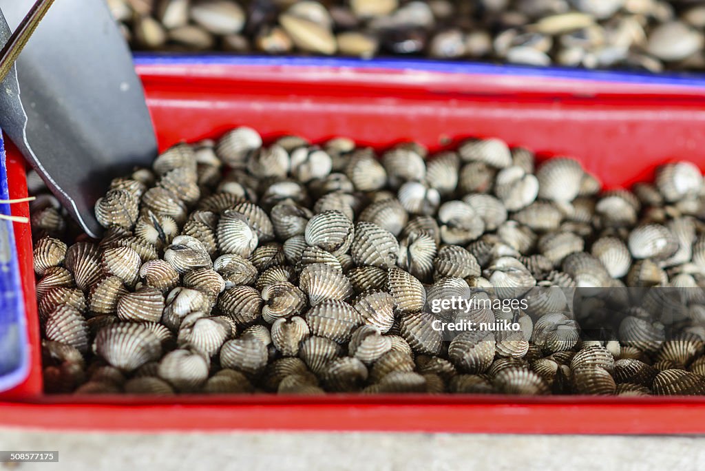 Oysters, mussels and scallops on asian market