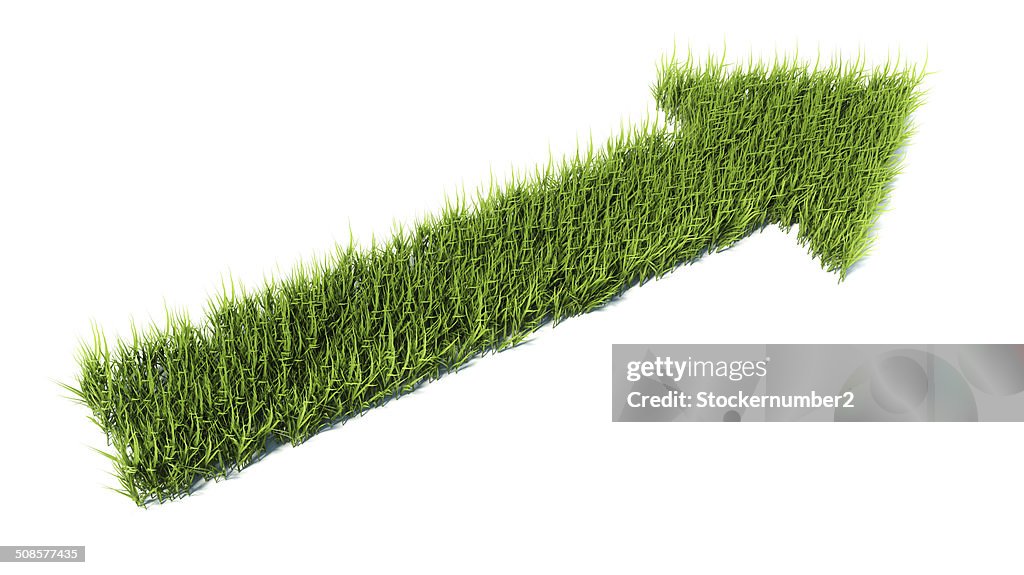 3d arrow made of grass