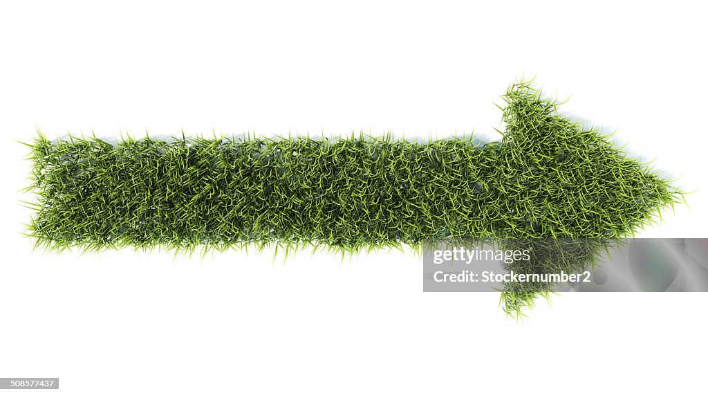 3d arrow made of grass