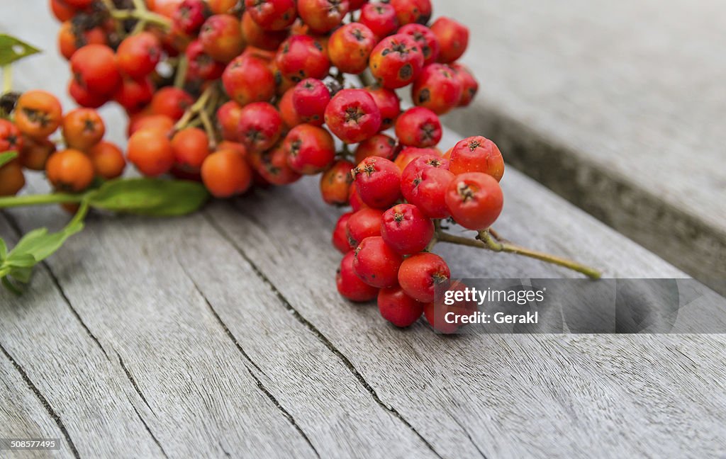 Rowanberry or ashberry on a wooden board
