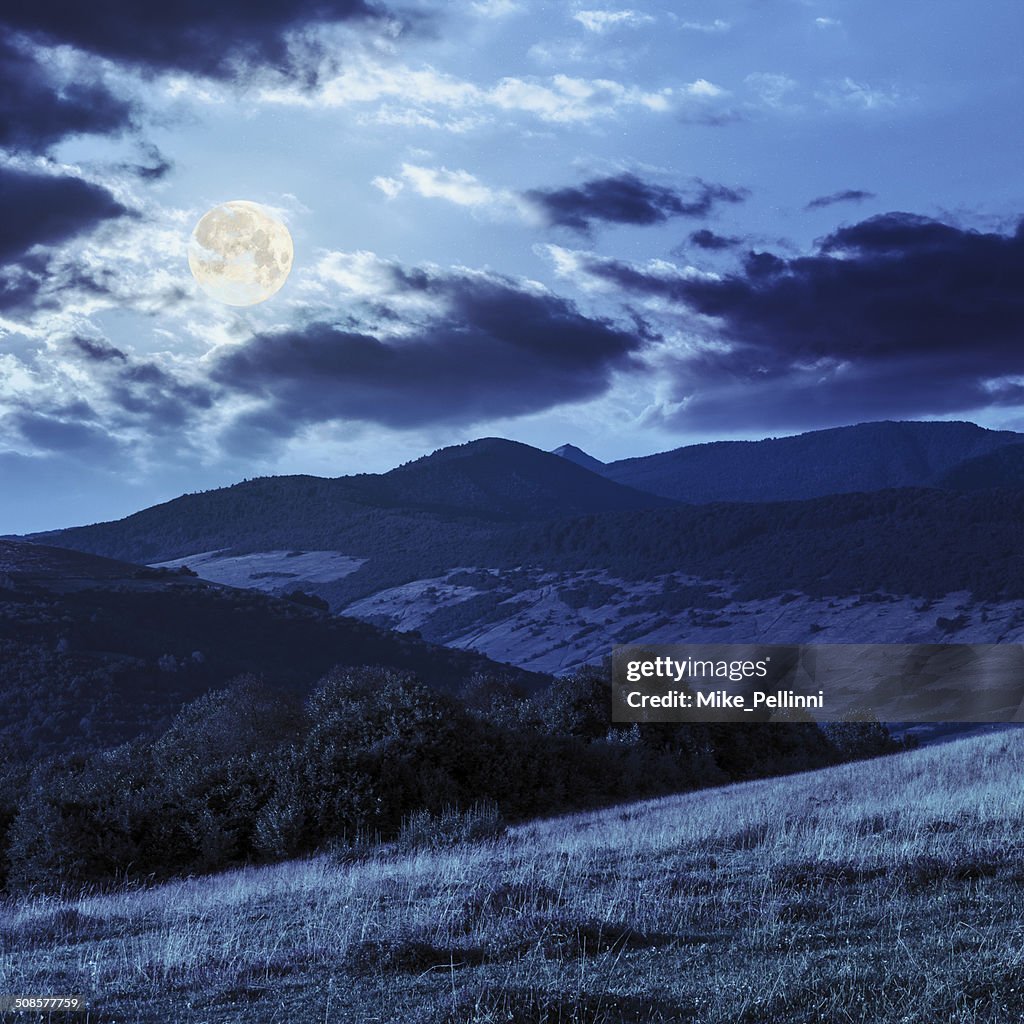 Bäume in der Nähe von valley-Berge am Hang im Mondlicht