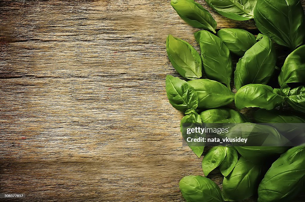 Green Basil