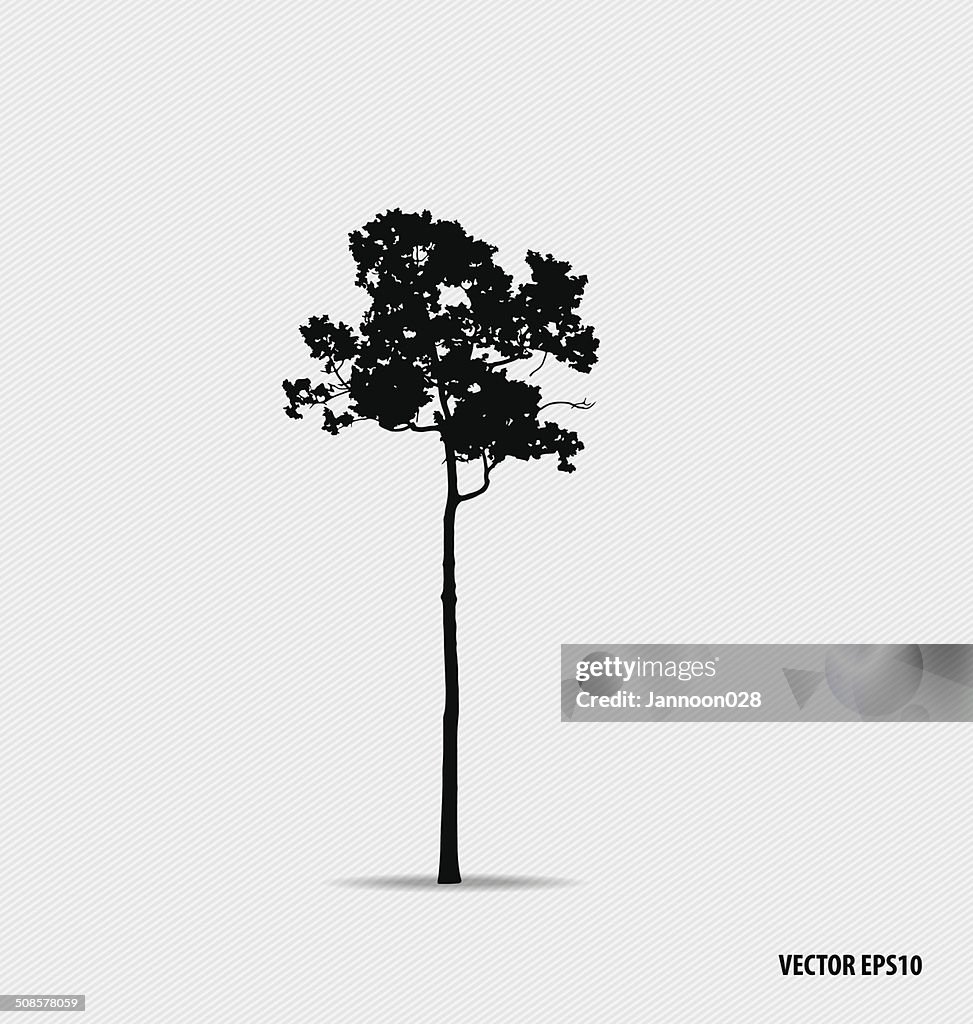 Tree silhouettes. Vector illustration.