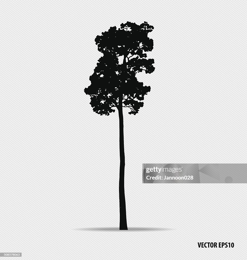 Tree silhouettes. Vector illustration.