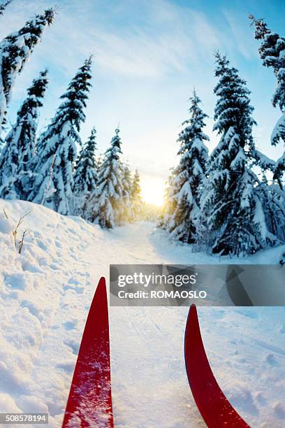 cross-country skiing at sunset in oslo, norway - cross country skis stock pictures, royalty-free photos & images