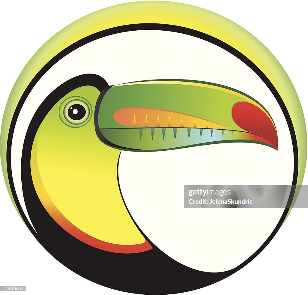 Toucan