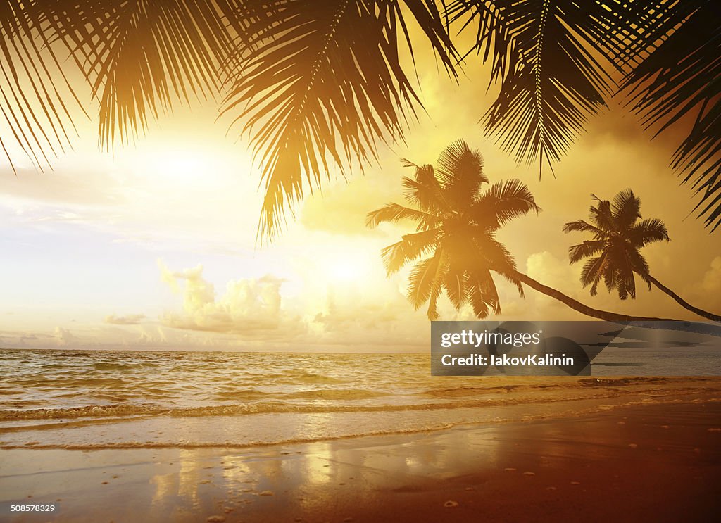Sunset on the beach of caribbean sea