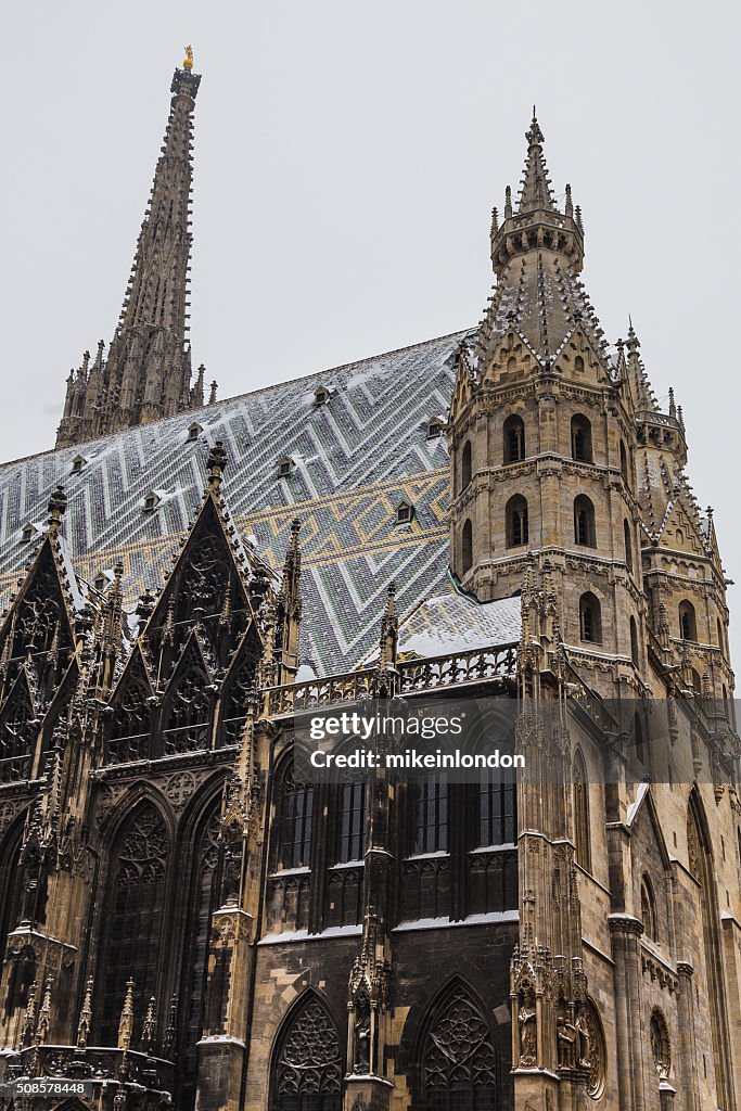 St. Stephen's-Kathedrale (Stephansdom im Winter