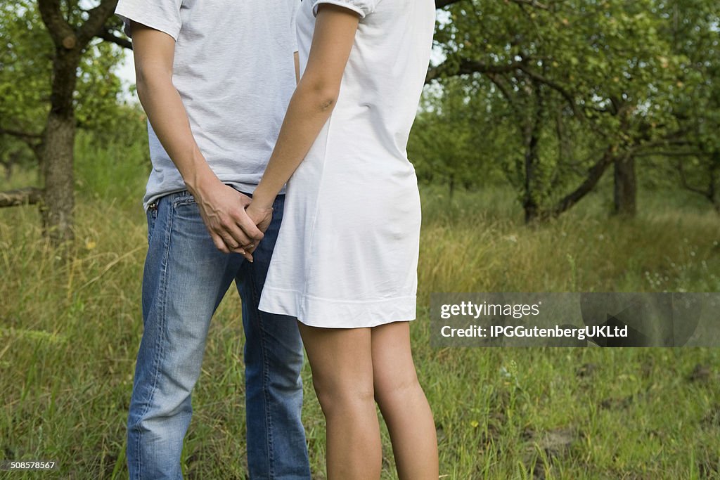 Midsection Of Couple Holding Hands In Orchard