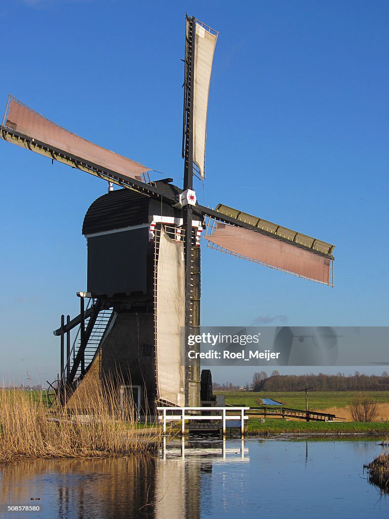 Storico mulino olandese per il drenaggio dell'acqua