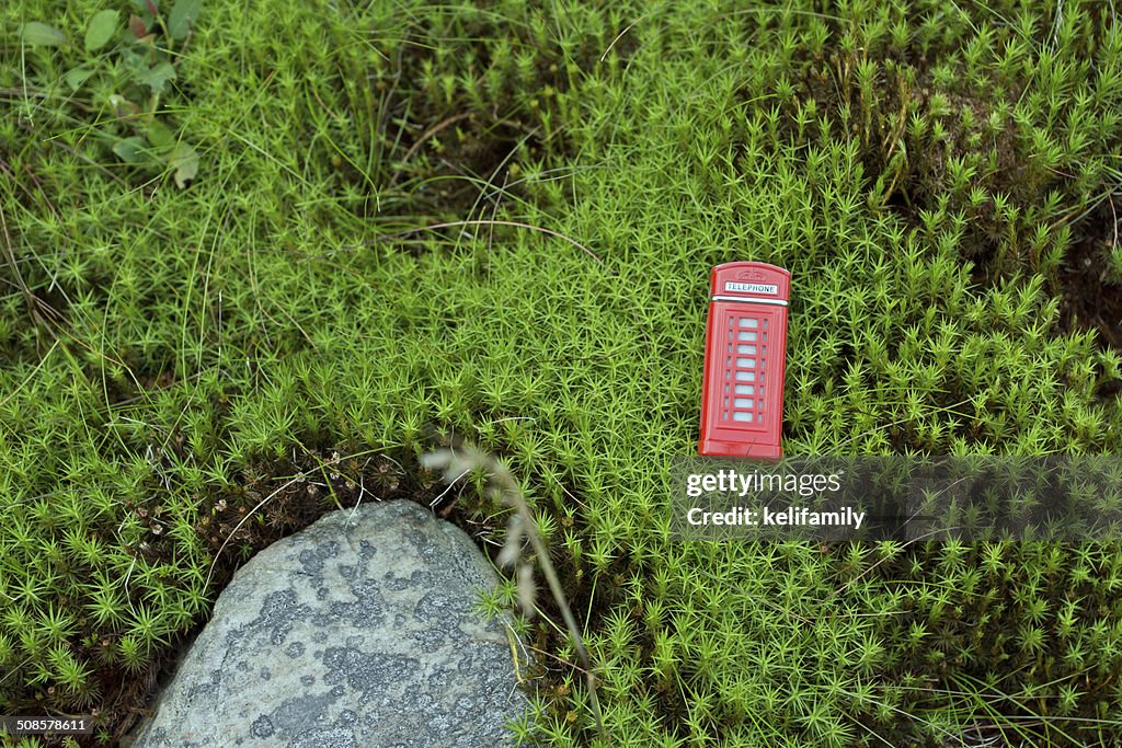 Red telephone box in the moss