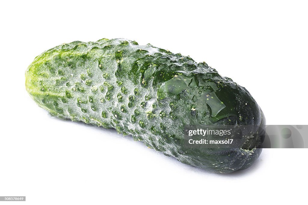Single tiny cucumber