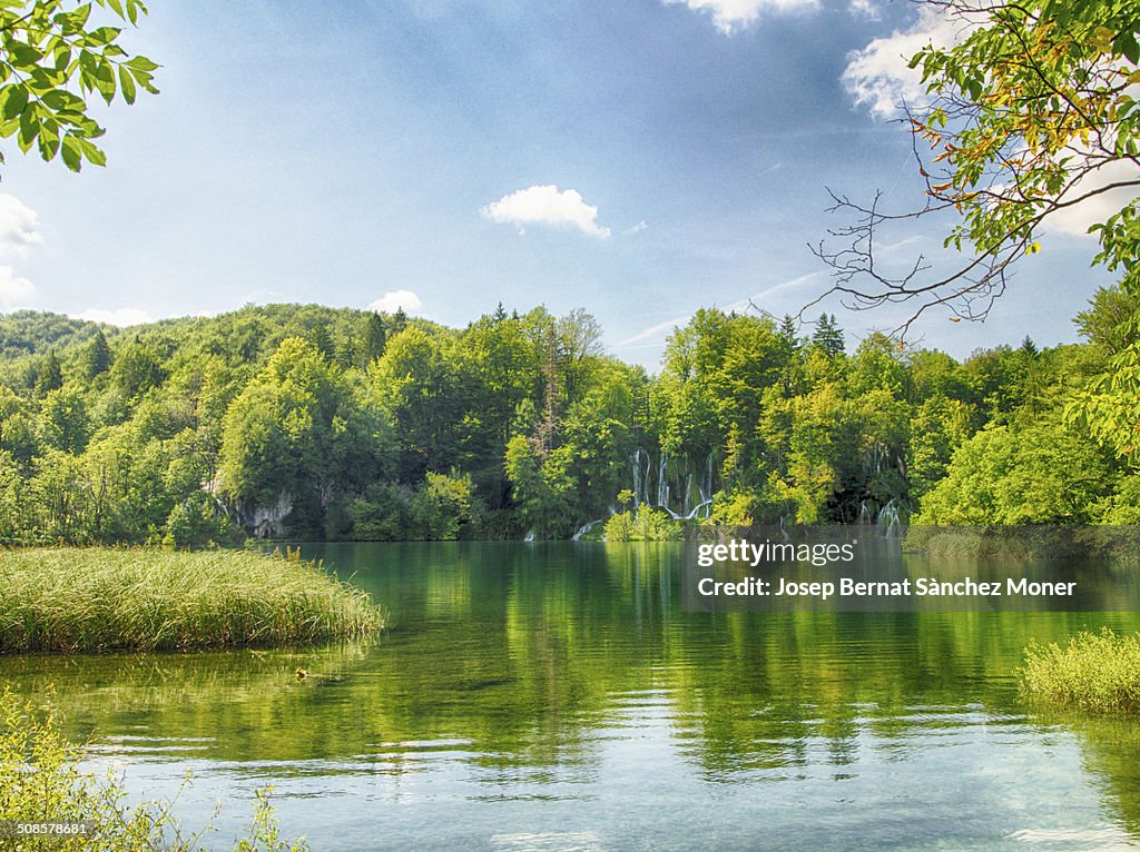 Transparent river in Plitvice, Croatia