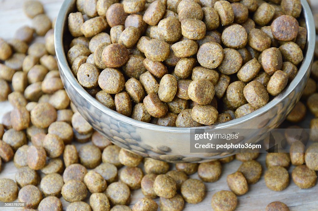 Dog food in circle stainless bowl