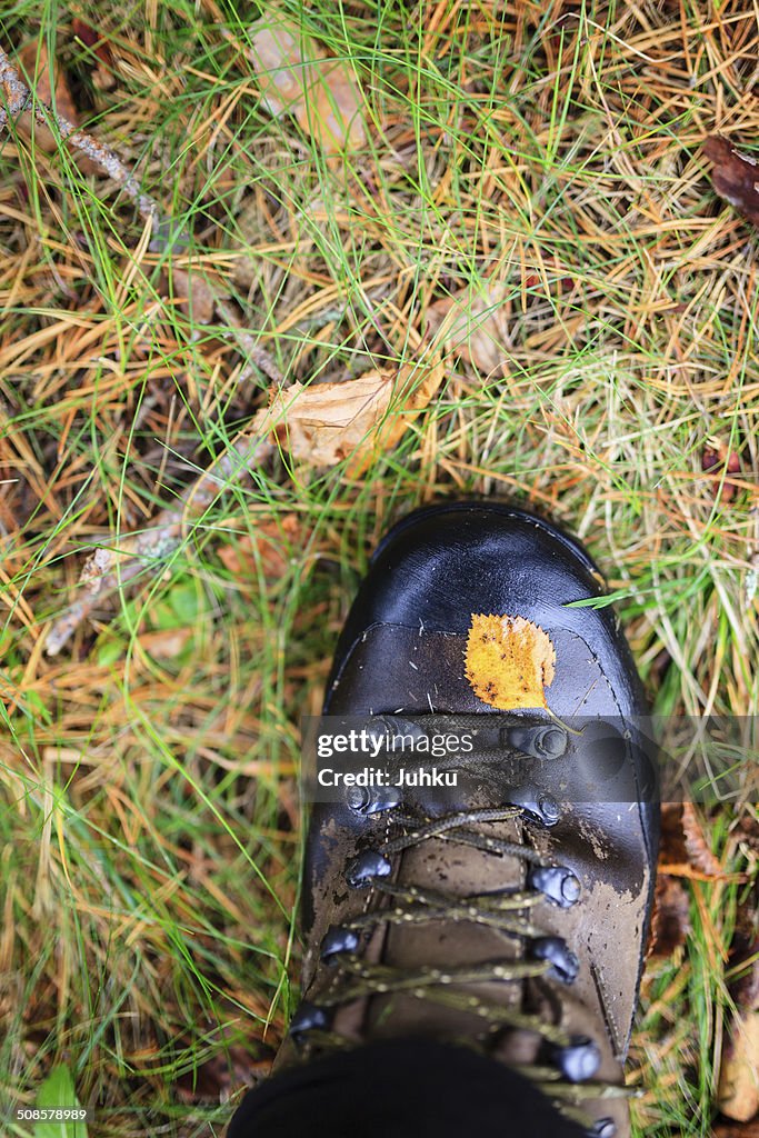 Yellow autumn leaf on a trekking boot