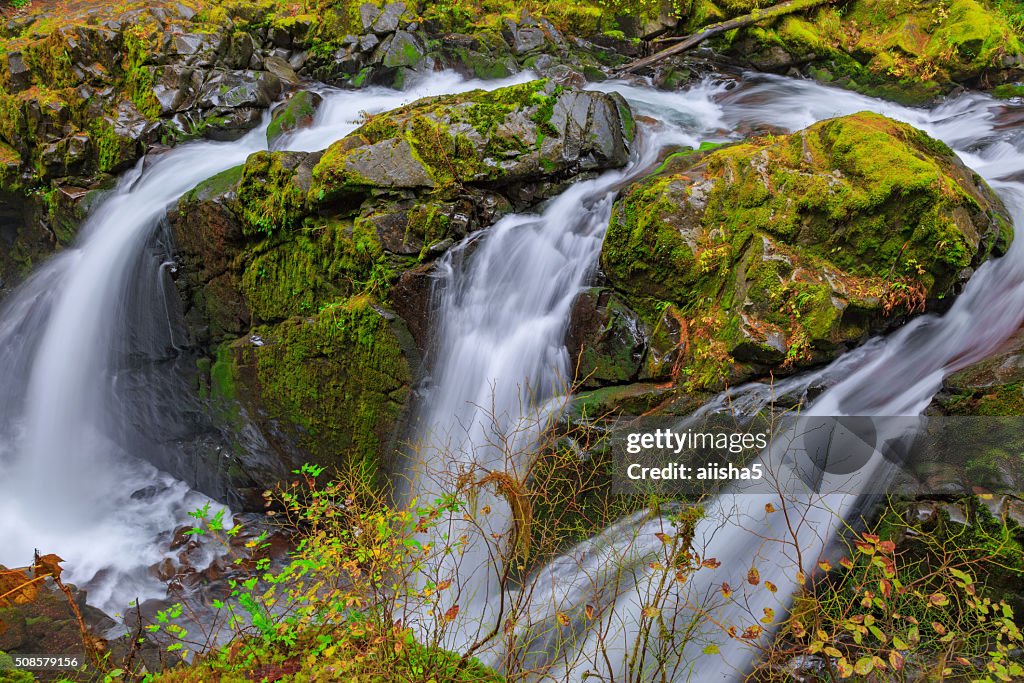 Sol Duc waterfall in Rain Forest