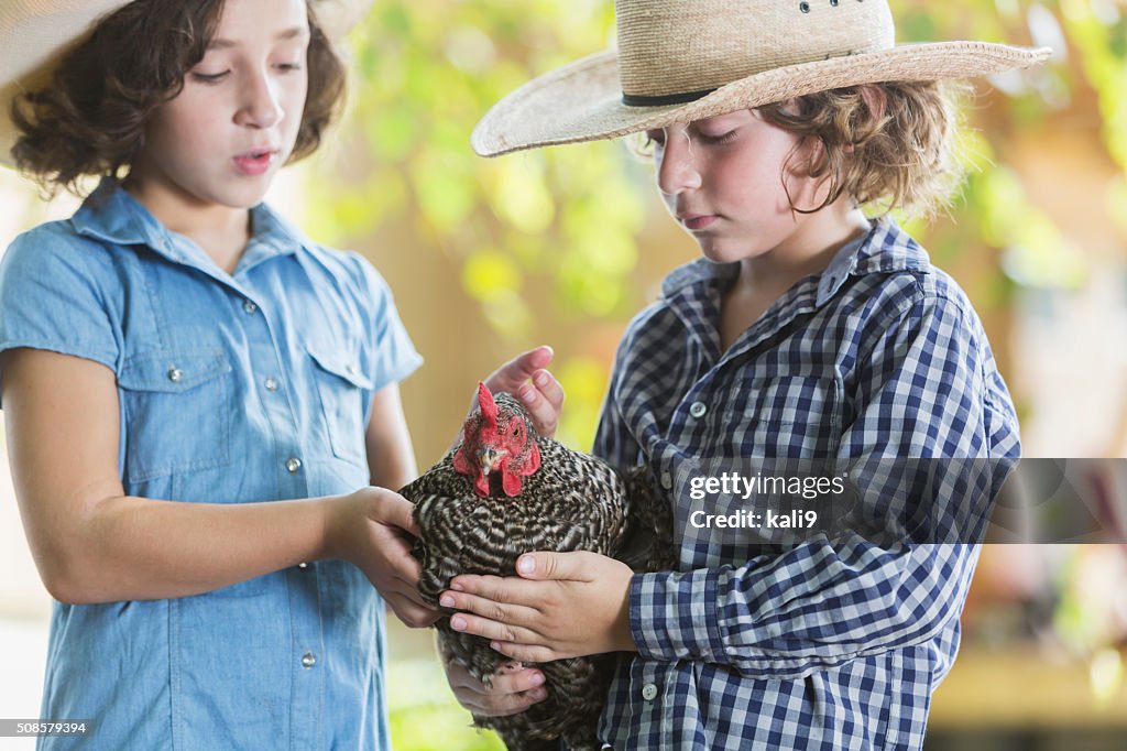 Zwei Kinder auf dem Hof halten Huhn