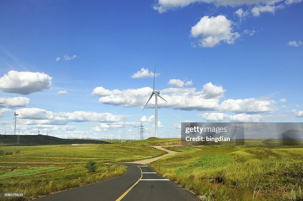 Grassland on the road