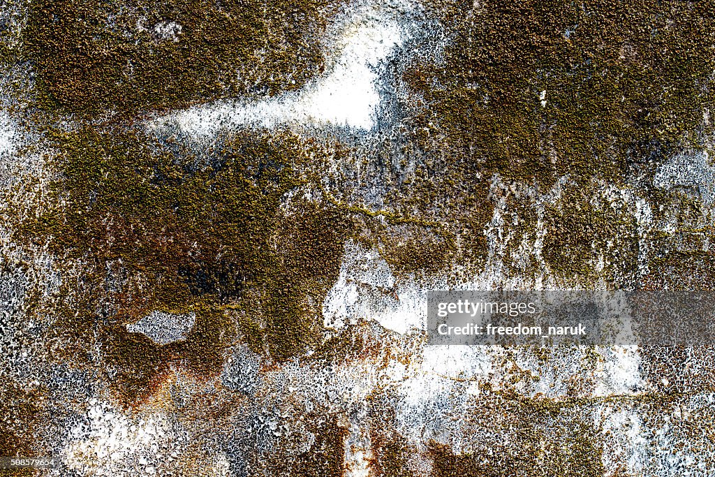 White concrete wall texture