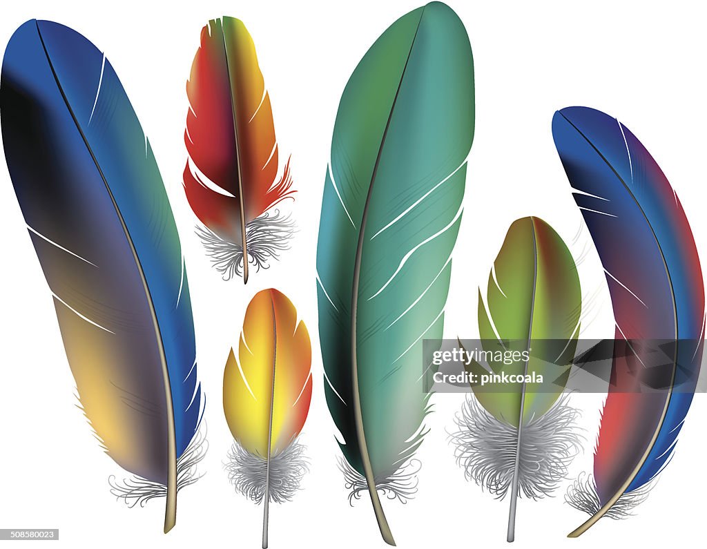 Colored feathers