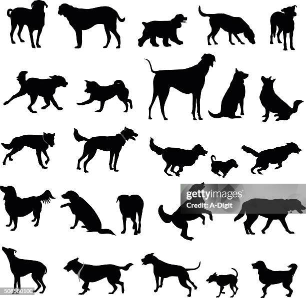 große reihe von hund silhouetten - labrador silhouette stock-grafiken, -clipart, -cartoons und -symbole