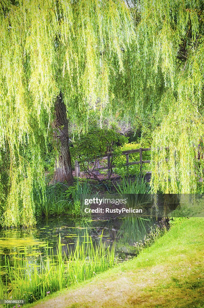 Old Wooden Bridge In Forest