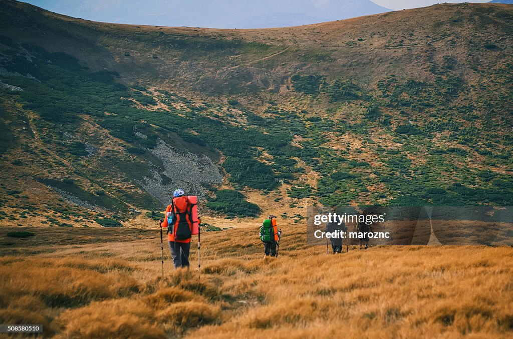 Junge Menschen Wandern in Carpathian mountains im Sommer