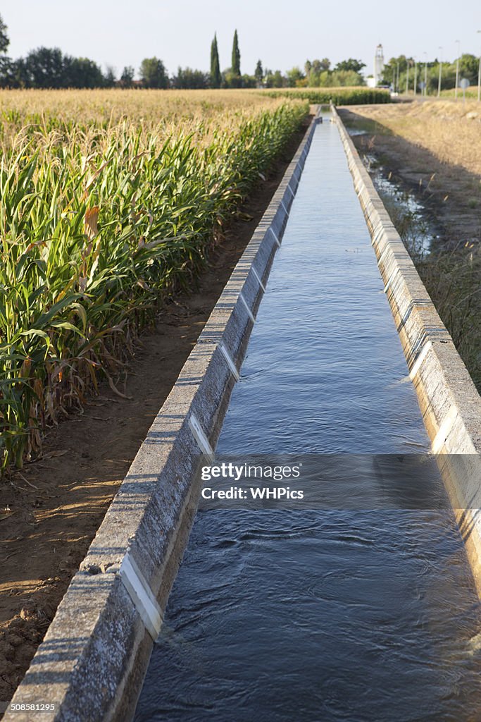 Irrigation canal on corn field