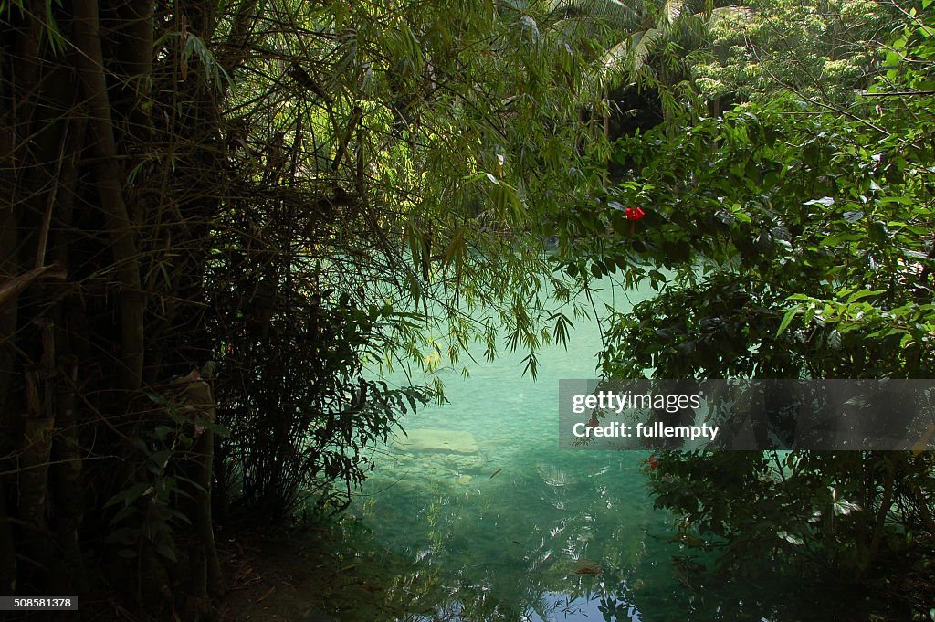 Kawasan river in Cebu, Philippines