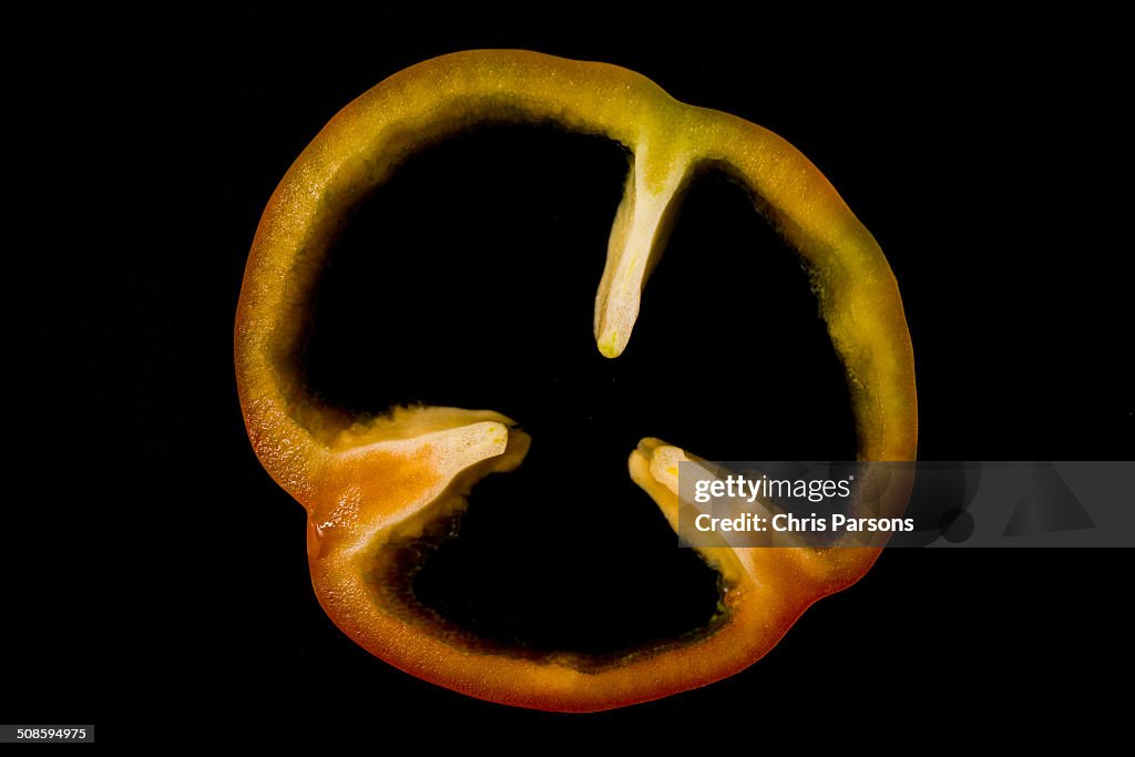Slice of a colorful bell pepper